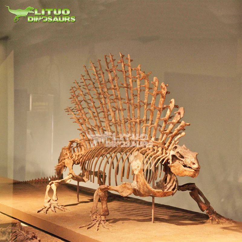 Edaphosaurus skjelett