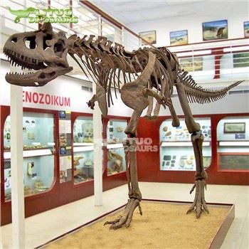 Carnotaurus skjelett