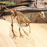 Ornithomimus skjelett