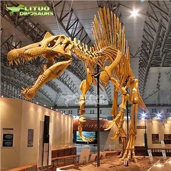 Spinosaurus skjelett