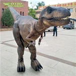 TRex kostyme